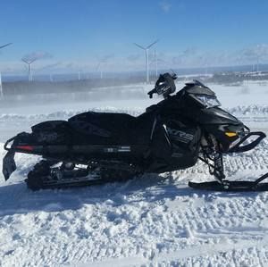 Meet your Posher, Dominick